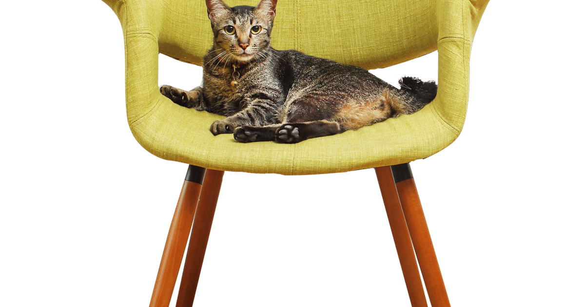 Property consultants | Estate agents and Letting agents in the UK | Cluttons